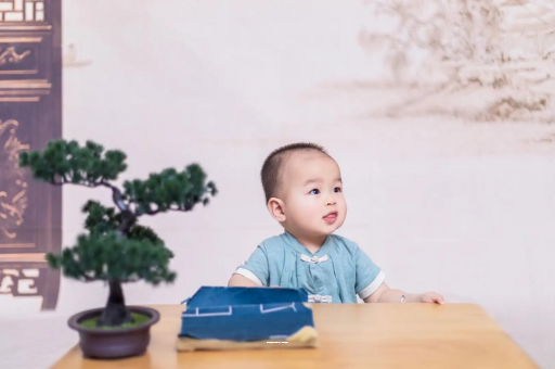 凤城八个月宝宝零食 凤城八个月宝宝零食